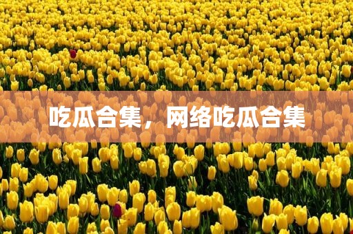 吃瓜合集，网络吃瓜合集