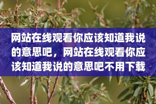 网站在线观看你应该知道我说的意思吧，网站在线观看你应该知道我说的意思吧不用下载