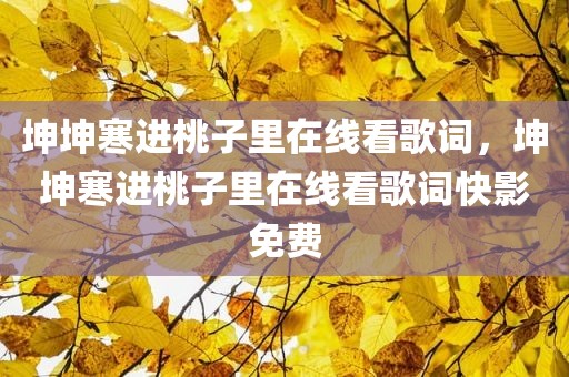 坤坤寒进桃子里在线看歌词，坤坤寒进桃子里在线看歌词快影免费