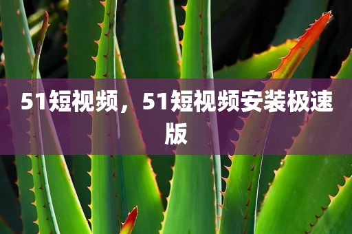 51短视频，51短视频安装极速版