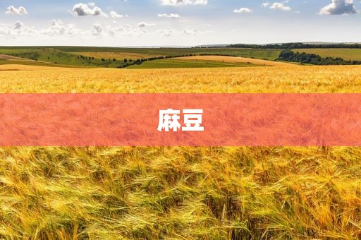 麻豆