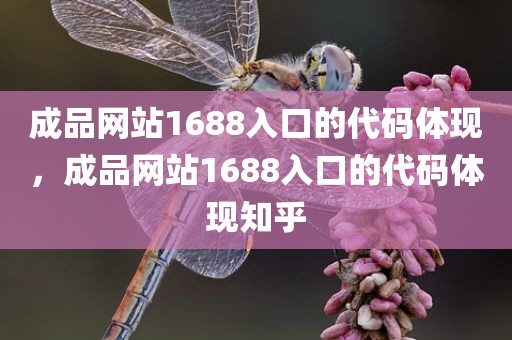 成品网站1688入口的代码体现，成品网站1688入口的代码体现知乎