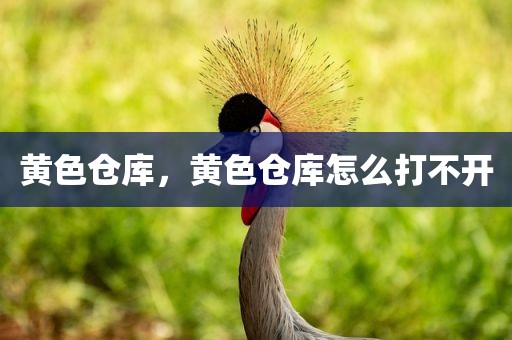 黄色仓库，黄色仓库怎么打不开