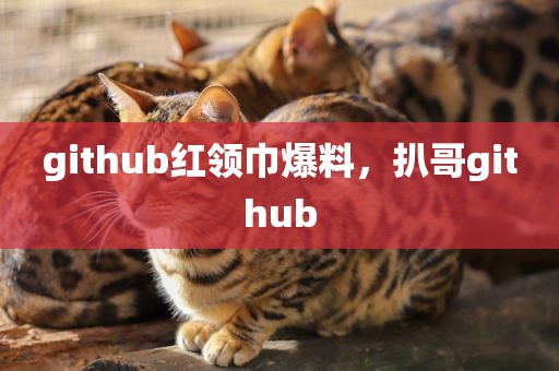 github红领巾爆料，扒哥github