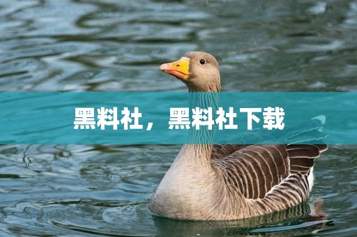 黑料社，黑料社下载