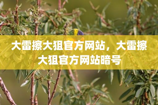 大雷擦大狙官方网站，大雷擦大狙官方网站暗号