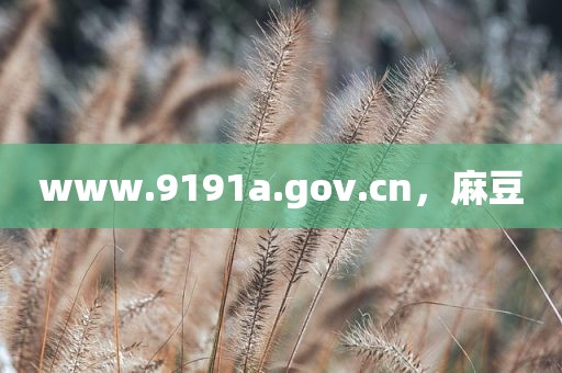 www.9191a.gov.cn，麻豆