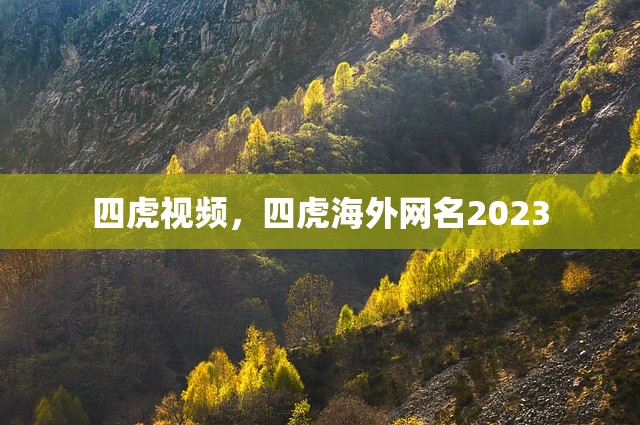四虎视频，四虎海外网名2023