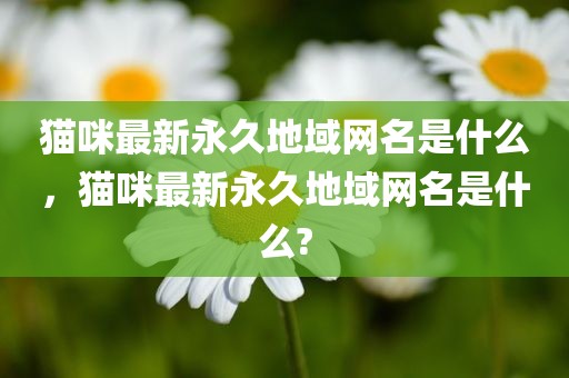 猫咪最新永久地域网名是什么，猫咪最新永久地域网名是什么?