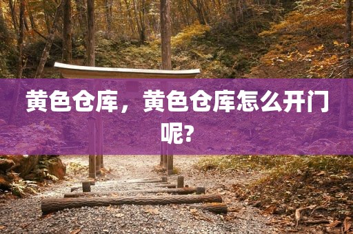 黄色仓库，黄色仓库怎么开门呢?