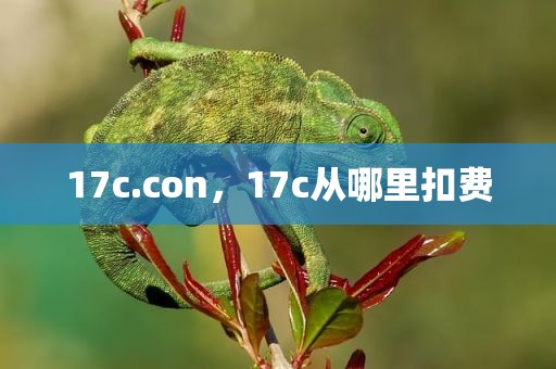 17c.con，17c从哪里扣费