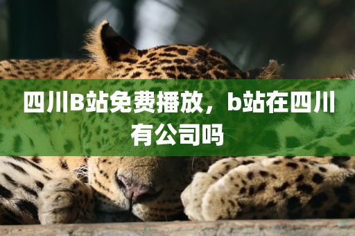 四川B站免费播放，b站在四川有公司吗