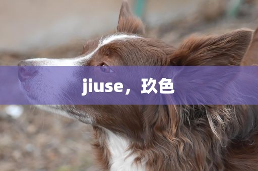 jiuse，玖色