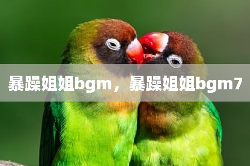暴躁姐姐bgm，暴躁姐姐bgm7
