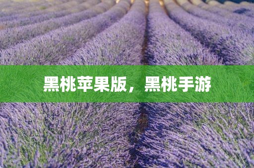 黑桃苹果版，黑桃手游