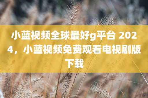 小蓝视频全球最好g平台 2024，小蓝视频免费观看电视剧版下载