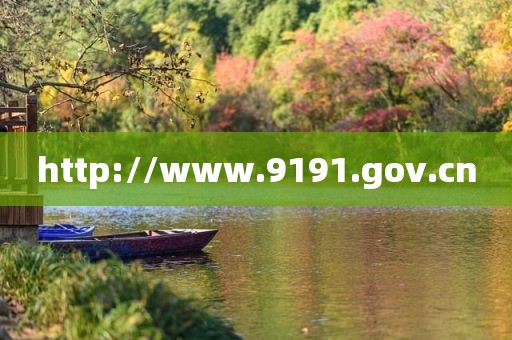 http://www.9191.gov.cn