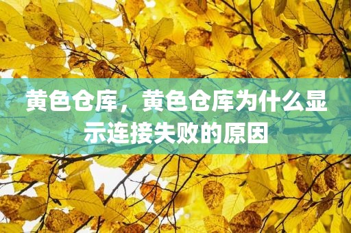 黄色仓库，黄色仓库为什么显示连接失败的原因