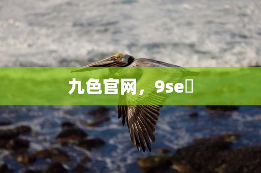 九色官网，9se 