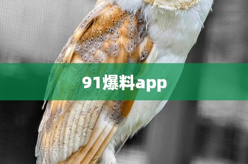 91爆料app