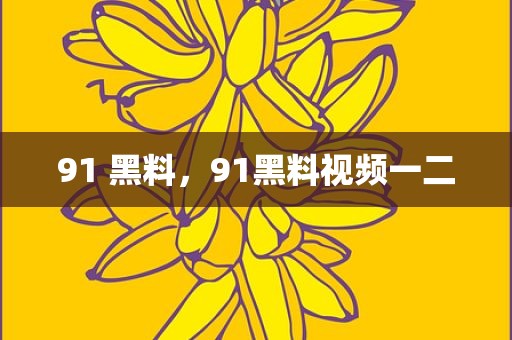 91 黑料，91黑料视频一二