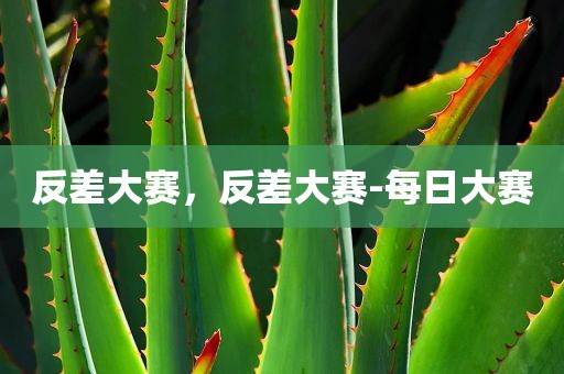 反差大赛，反差大赛-每日大赛