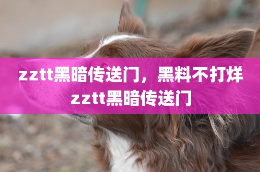 zztt黑暗传送门，黑料不打烊zztt黑暗传送门