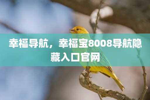 幸福导航，幸福宝8008导航隐藏入口官网