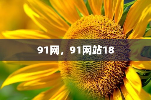 91网，91网站18