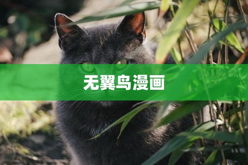 无翼鸟漫画