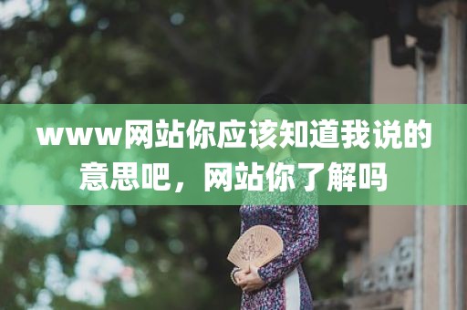 www网站你应该知道我说的意思吧，网站你了解吗