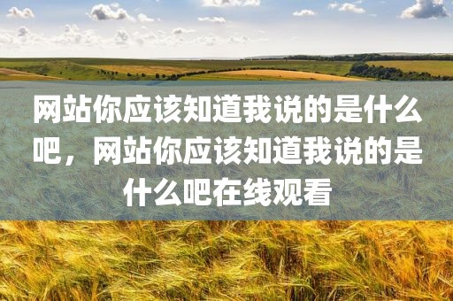 网站你应该知道我说的是什么吧，网站你应该知道我说的是什么吧在线观看