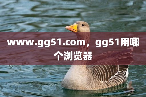 www.gg51.com，gg51用哪个浏览器