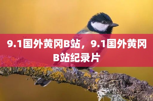 9.1国外黄冈B站，9.1国外黄冈B站纪录片