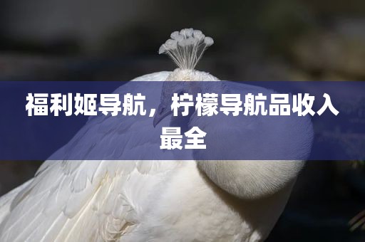 福利姬导航，柠檬导航品收入最全