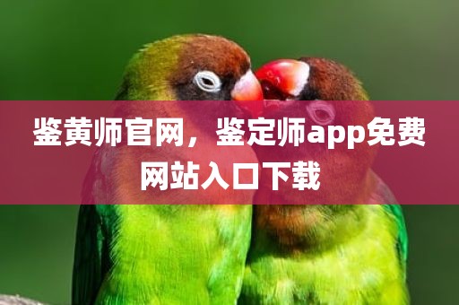 鉴黄师官网，鉴定师app免费网站入口下载