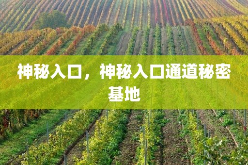 神秘入口，神秘入口通道秘密基地