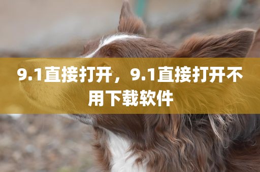 9.1直接打开，9.1直接打开不用下载软件