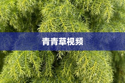 青青草视频