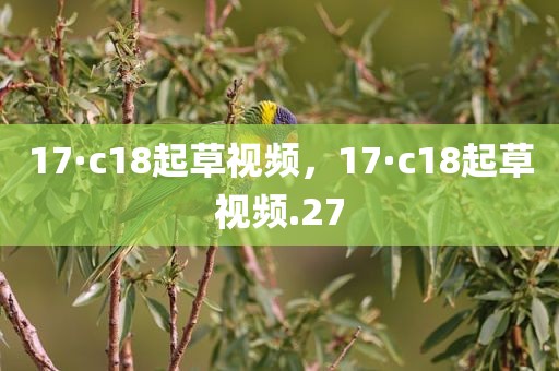 17·c18起草视频，17·c18起草视频.27