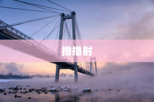 撸撸射