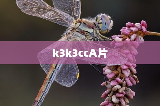 k3k3ccA片