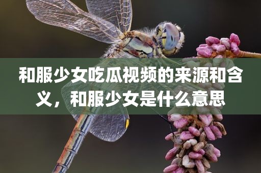 和服少女吃瓜视频的来源和含义，和服少女是什么意思