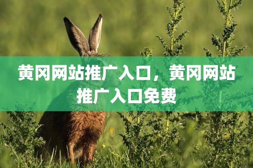 黄冈网站推广入口，黄冈网站推广入口免费