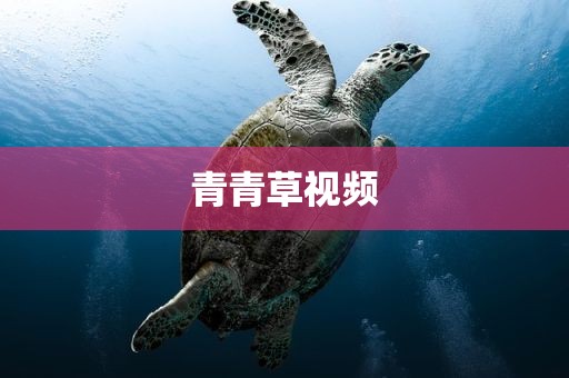青青草视频