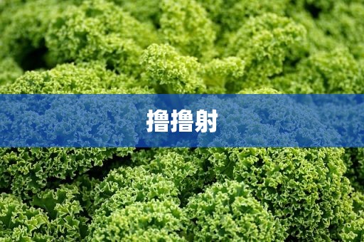 撸撸射