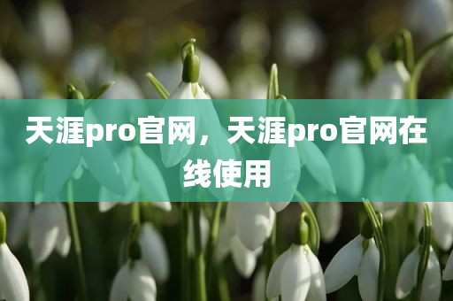 天涯pro官网，天涯pro官网在线使用
