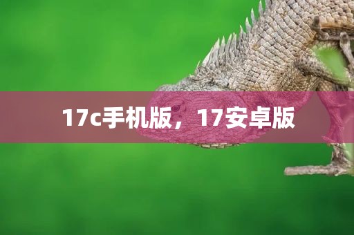 17c手机版，17安卓版