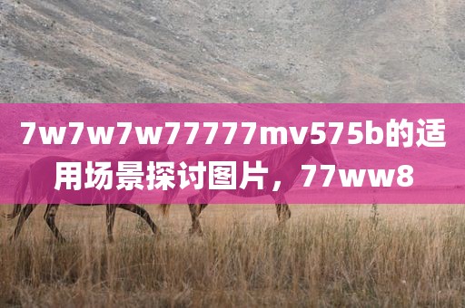 7w7w7w77777mv575b的适用场景探讨图片，77ww8