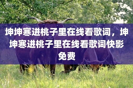 坤坤寒进桃子里在线看歌词，坤坤寒进桃子里在线看歌词快影免费